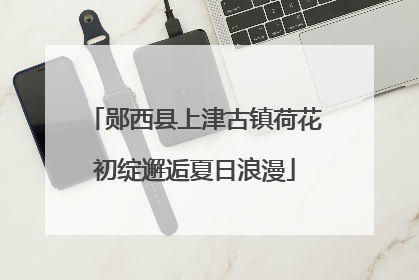 郧西县上津古镇荷花初绽邂逅夏日浪漫