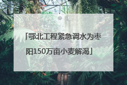 鄂北工程紧急调水为枣阳150万亩小麦解渴