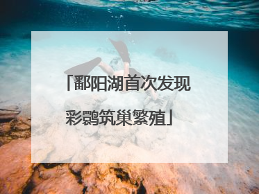 鄱阳湖首次发现彩鹮筑巢繁殖