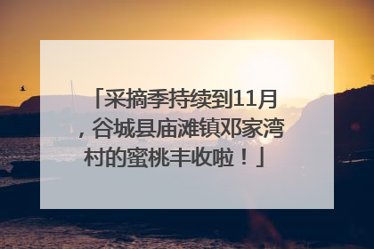 采摘季持续到11月，谷城县庙滩镇邓家湾村的蜜桃丰收啦！
