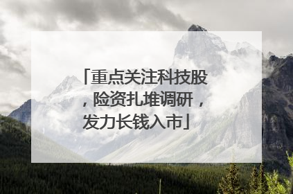 重点关注科技股，险资扎堆调研，发力长钱入市