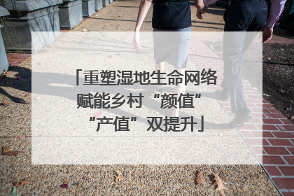 重塑湿地生命网络 赋能乡村“颜值”“产值”双提升