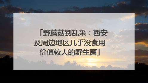 野蘑菇别乱采：西安及周边地区几乎没食用价值较大的野生菌