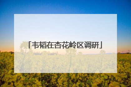 韦韬在杏花岭区调研