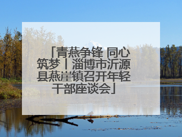 青燕争锋 同心筑梦丨淄博市沂源县燕崖镇召开年轻干部座谈会