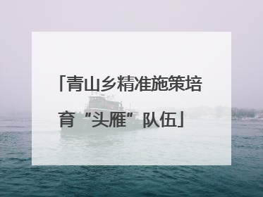 青山乡精准施策培育“头雁”队伍
