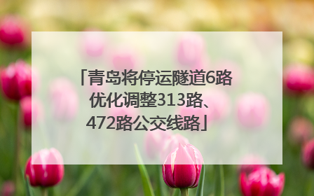 青岛将停运隧道6路 优化调整313路、472路公交线路