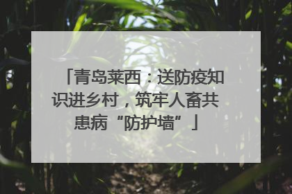 青岛莱西：送防疫知识进乡村，筑牢人畜共患病“防护墙”