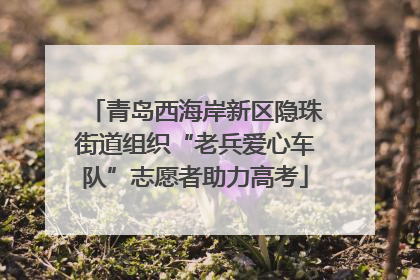 青岛西海岸新区隐珠街道组织“老兵爱心车队”志愿者助力高考