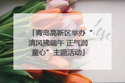 青岛高新区举办“清风拂端午 正气润童心”主题活动