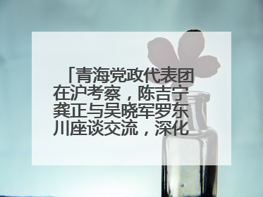 青海党政代表团在沪考察，陈吉宁龚正与吴晓军罗东川座谈交流，深化合作对接