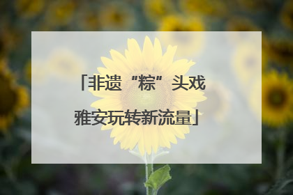 非遗“粽”头戏 雅安玩转新流量