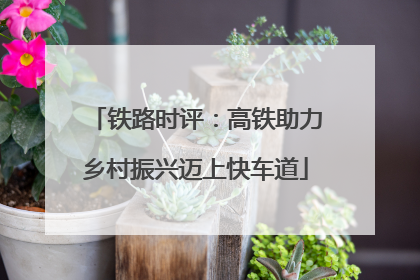 铁路时评：高铁助力乡村振兴迈上快车道