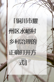 铜川市耀州区水峪村乡村治理的正确打开方式