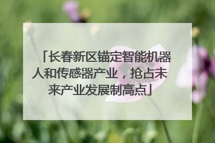 长春新区锚定智能机器人和传感器产业，抢占未来产业发展制高点