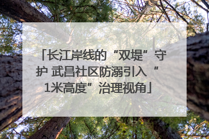 长江岸线的“双堤”守护 武昌社区防溺引入“1米高度”治理视角
