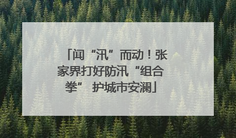 闻“汛”而动！张家界打好防汛“组合拳” 护城市安澜