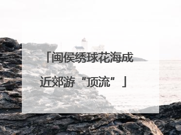 闽侯绣球花海成近郊游“顶流”