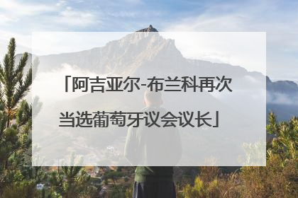 阿吉亚尔-布兰科再次当选葡萄牙议会议长