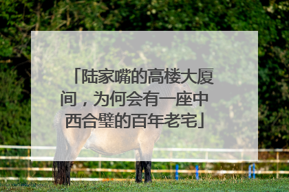 陆家嘴的高楼大厦间，为何会有一座中西合璧的百年老宅
