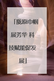 陇原巾帼展芳华 科技赋能促发展