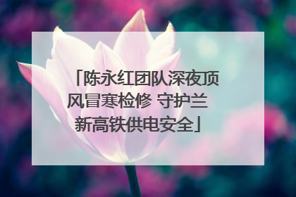 陈永红团队深夜顶风冒寒检修 守护兰新高铁供电安全