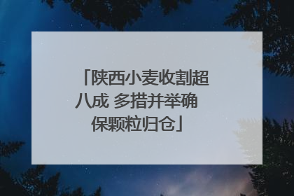 陕西小麦收割超八成 多措并举确保颗粒归仓