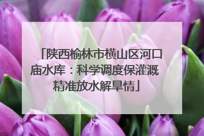 陕西榆林市横山区河口庙水库：科学调度保灌溉 精准放水解旱情