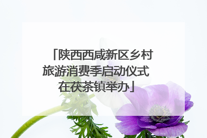 陕西西咸新区乡村旅游消费季启动仪式在茯茶镇举办
