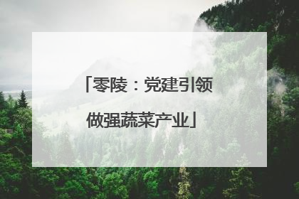 零陵：党建引领 做强蔬菜产业