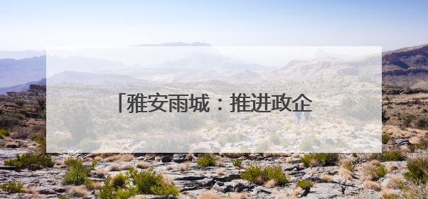 雅安雨城：推进政企合作 实现互利共赢