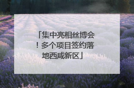 集中亮相丝博会！多个项目签约落地西咸新区