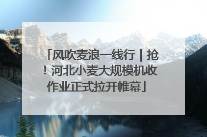 风吹麦浪一线行｜抢！河北小麦大规模机收作业正式拉开帷幕