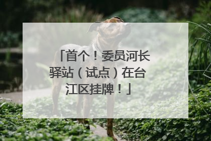 首个！委员河长驿站（试点）在台江区挂牌！