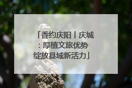 香约庆阳丨庆城：厚植文旅优势 绽放县域新活力