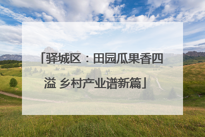 驿城区：田园瓜果香四溢 乡村产业谱新篇