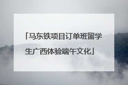 马东铁项目订单班留学生广西体验端午文化