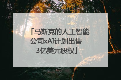 马斯克的人工智能公司xAI计划出售3亿美元股权