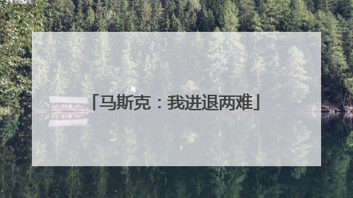 马斯克：我进退两难