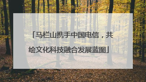 马栏山携手中国电信，共绘文化科技融合发展蓝图