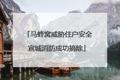 马蜂窝威胁住户安全 宣城消防成功摘除