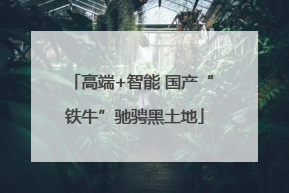 高端+智能 国产“铁牛”驰骋黑土地