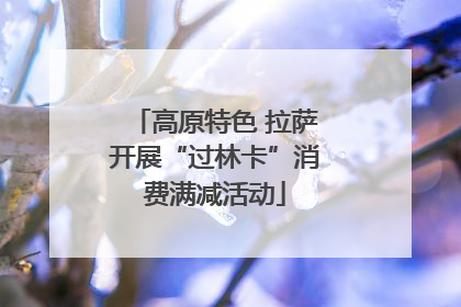 高原特色 拉萨开展“过林卡”消费满减活动