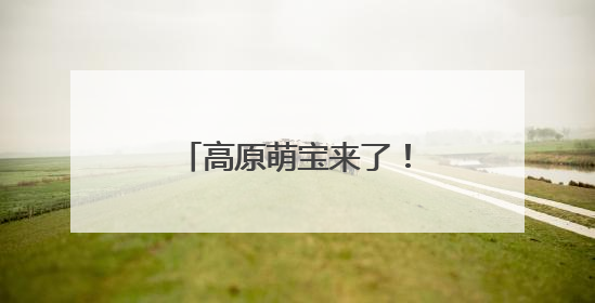 高原萌宝来了！若尔盖湿地首批黑颈鹤雏鸟破壳