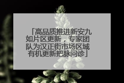 高品质推进新安九如片区更新，专家团队为汉正街市场区域有机更新把脉问诊