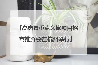 高唐县重点文旅项目招商推介会在杭州举行