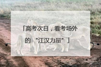 高考次日，看考场外的 “江汉力量”