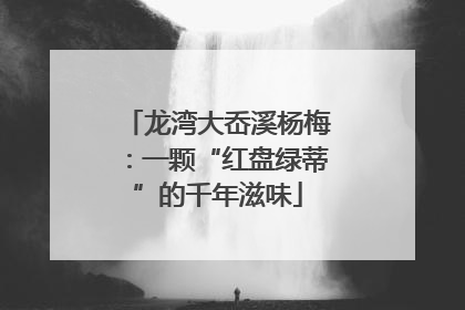 龙湾大岙溪杨梅：一颗“红盘绿蒂”的千年滋味