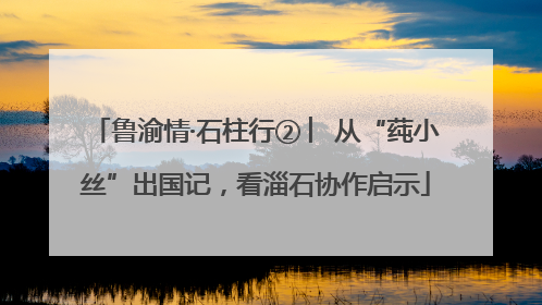 鲁渝情·石柱行② ︳从“莼小丝”出国记，看淄石协作启示