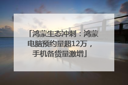 鸿蒙生态冲刺：鸿蒙电脑预约量超12万，手机备货量激增